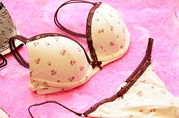 Image showing lingerie