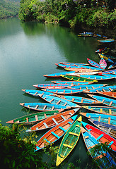 Image showing Colorful tour boats