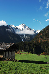 Image showing Landscape in Shangrila