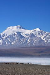 Image showing Landscape in Tibet