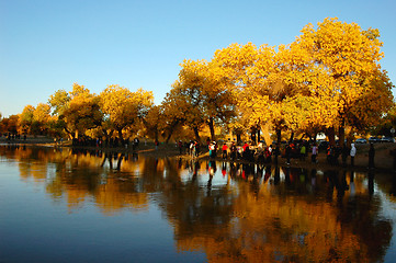 Image showing Scenery in autumn