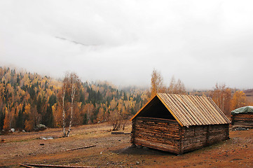 Image showing Wooden hut in autumn