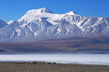 Image showing Landscape in Tibet