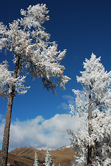 Image showing Landscape in winter