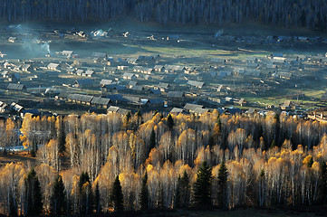 Image showing Landscape of a small village with woods in an autumn morning