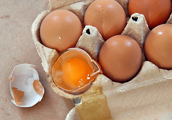 Image showing Eggs in box