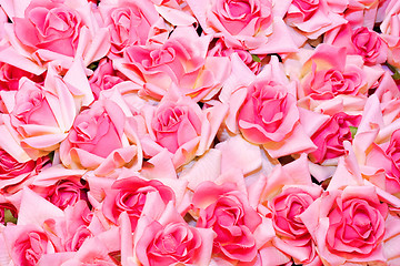 Image showing Roses