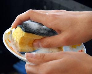 Image showing Washing dishes