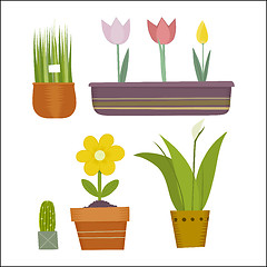 Image showing flowers in pots