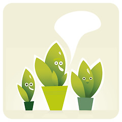 Image showing Three plants in the pots