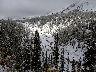 Image showing Overnight Snowfall