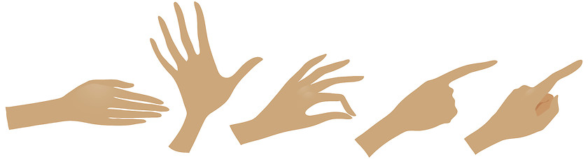 Image showing vector set of woman's hands