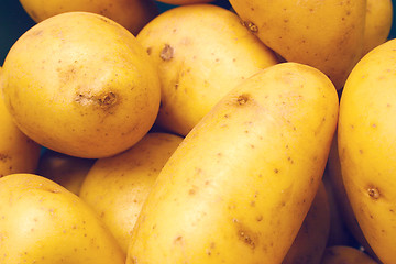 Image showing new potatoes