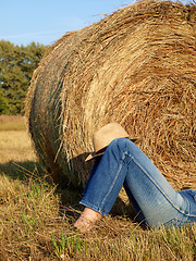 Image showing Straw bales in the fall