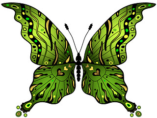 Image showing Green-gold butterfly