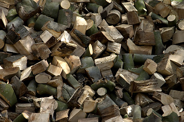 Image showing sawn logs