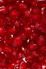 Image showing Pomegranate 