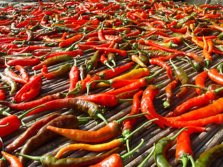 Image showing Red peppers