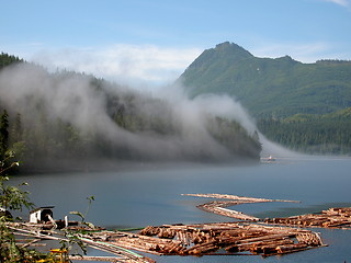 Image showing Misty Tug