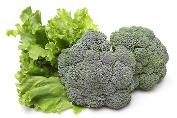 Image showing Broccoli and lettuce