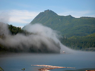 Image showing Misty Tug