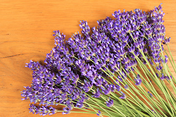 Image showing Lavender