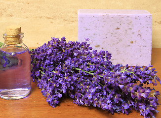 Image showing Lavender cosmetic