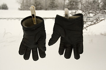 Image showing Black Gloves