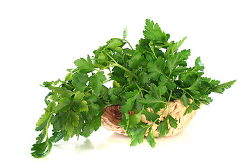 Image showing Parsley