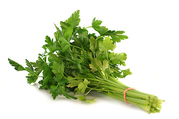 Image showing Parsley