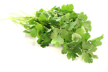 Image showing Coriander