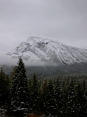 Image showing Snow Capped