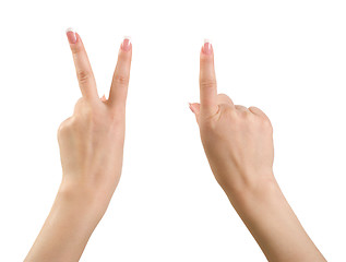 Image showing Hands gesture.