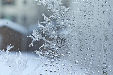 Image showing Ice crystals on a glass window