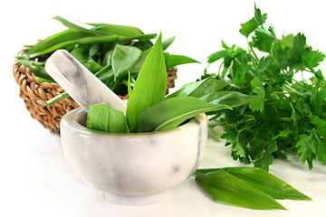 Image showing Wild garlic