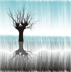 Image showing Tree in water