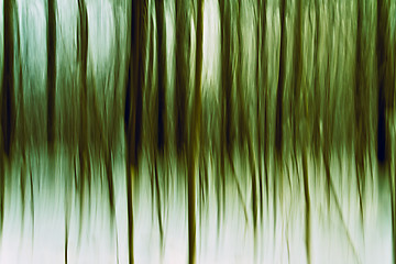 Image showing Tree Abstraction