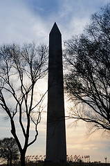 Image showing The Washington Monument 