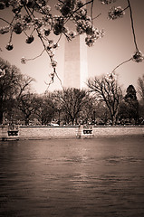 Image showing Washington Monument