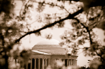 Image showing Jefferson Memorial and cherry blossoms