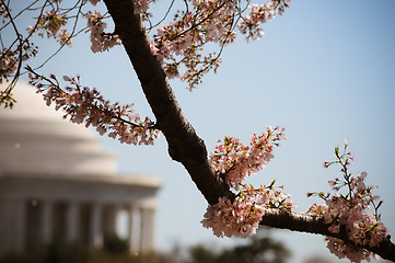 Image showing Jefferson memorial