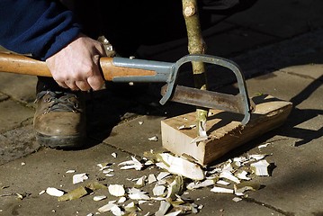 Image showing Woodcutter