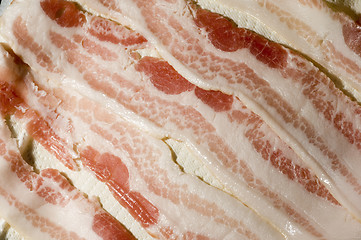Image showing raw bacon strips on paper towel for microwave