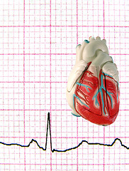 Image showing Real EKG with Model Heart