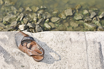 Image showing Memorial at the Danube