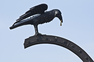 Image showing Raven