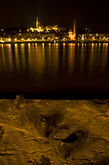 Image showing Memorial at the Danube