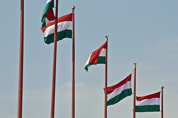 Image showing HUngarian flags