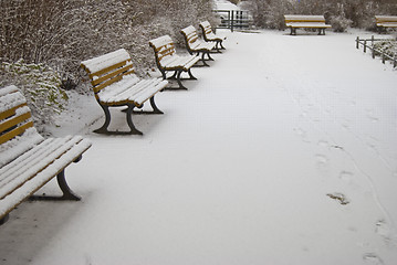 Image showing Snowy benches