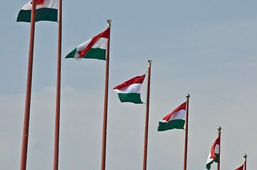 Image showing HUngarian flags
